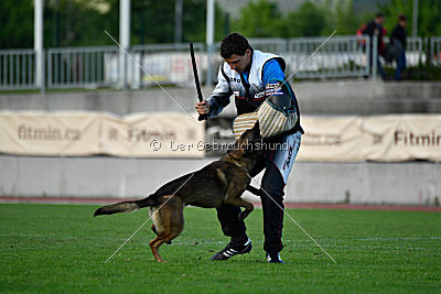 Ghandi from Mike`s Place